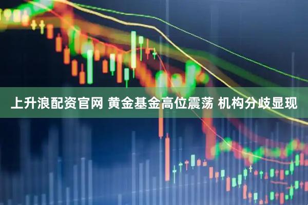 上升浪配资官网 黄金基金高位震荡 机构分歧显现