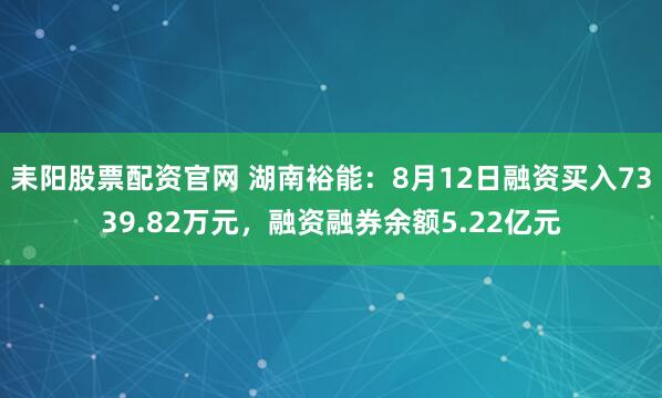耒阳股票配资官网 湖南裕能：8月12日融资买入7339.82万元，融资融券余额5.22亿元