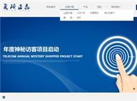 专业网站开发价格