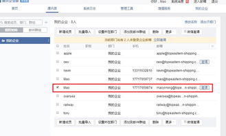 上海派网 网站优化seo专家 建网站专家 上海做网站的公司