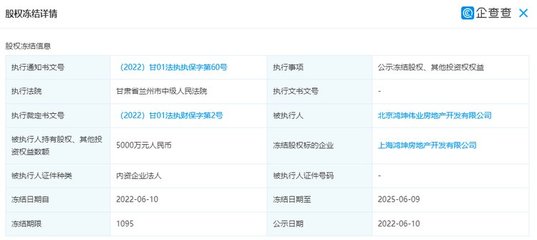 鸿坤伟业所持上海鸿坤房产开发5000万元股权遭冻结