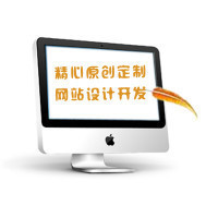 开发一个网站