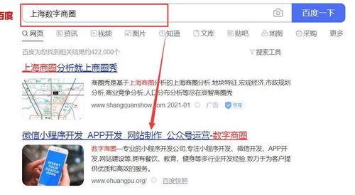 开发社区团购系统,如何选择开发服务商